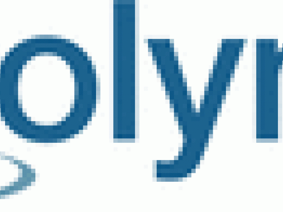 International Polymer Solutions Inc.